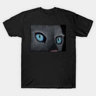 Blue eyed grey cat T-Shirt